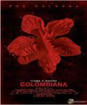 colombiana movie poster small image 