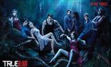 true blood logo,hbo  image