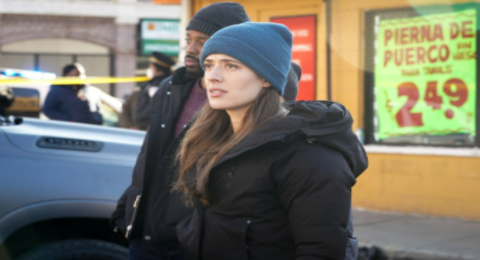 New Chicago PD Season 9 Spoilers For April 20, 2022 Episode 19 Revealed