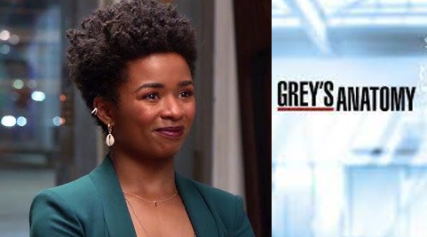 New Grey’s Anatomy Season 19 Is Bringing On A New Female Surgeon As Series Regular