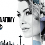 The Next New Grey’s Anatomy Episode 5 Of The Current Season 14 Is Getting Delayed