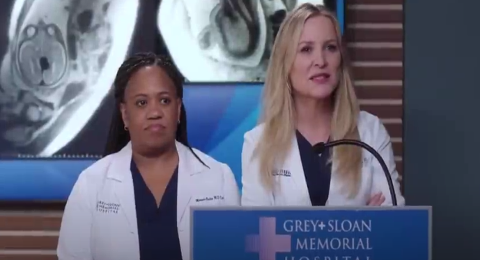 New Grey’s Anatomy Season 20 March 14, 2024 Premiere Episode 1 Spoilers Revealed