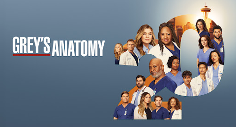 New Grey’s Anatomy Season 20, April 18 & 25, 2024 Episode 6 Delayed. Not Airing For A While
